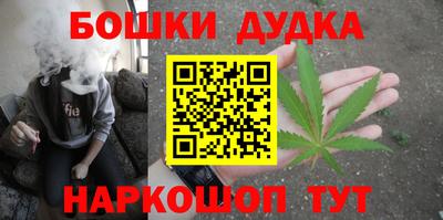 гашик Будённовск