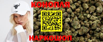 гашик Будённовск