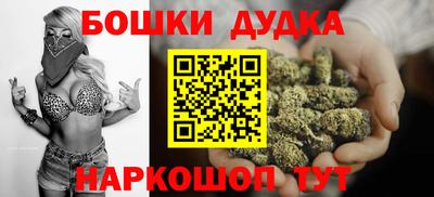 гашик Будённовск