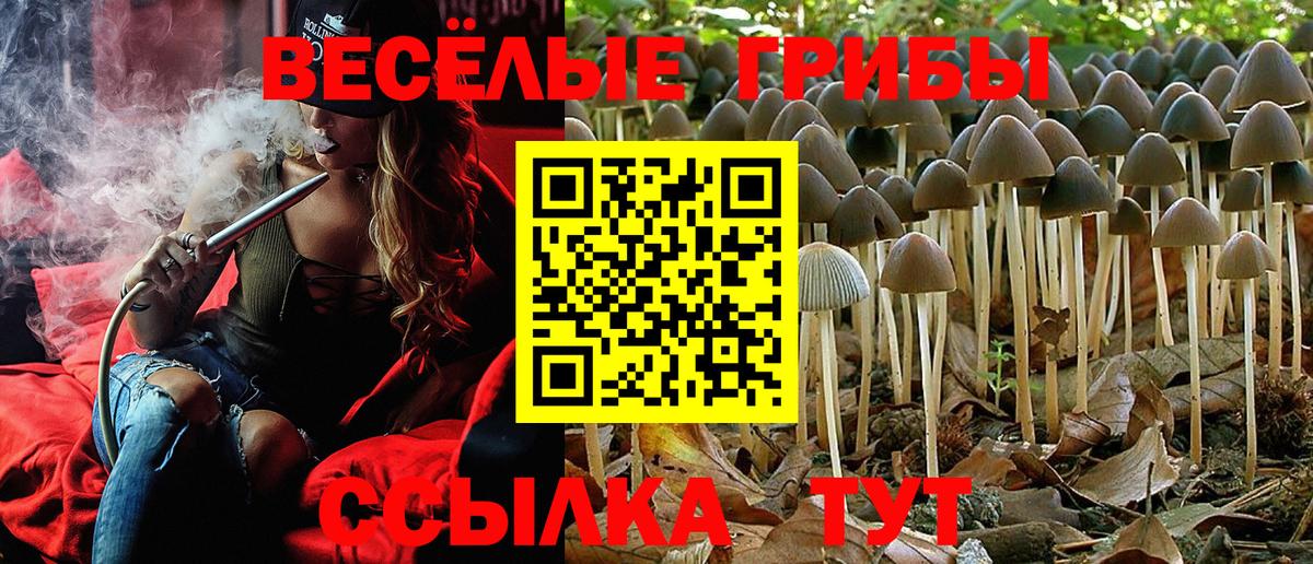 Галлюциногенные грибы Psilocybe  Вход с VPN  Сергиев Посад  Псилоцибиновые грибы мухоморы 