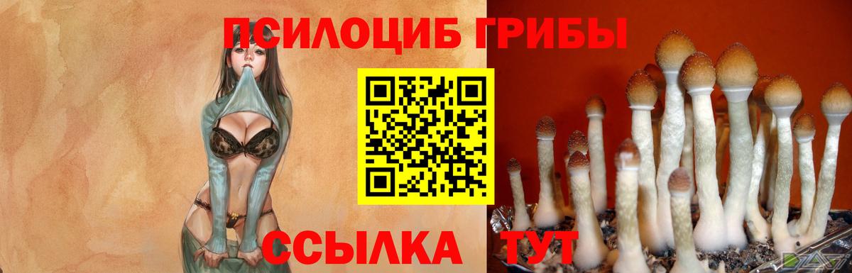 Галлюциногенные грибы MAGIC MUSHROOMS Сергиев Посад